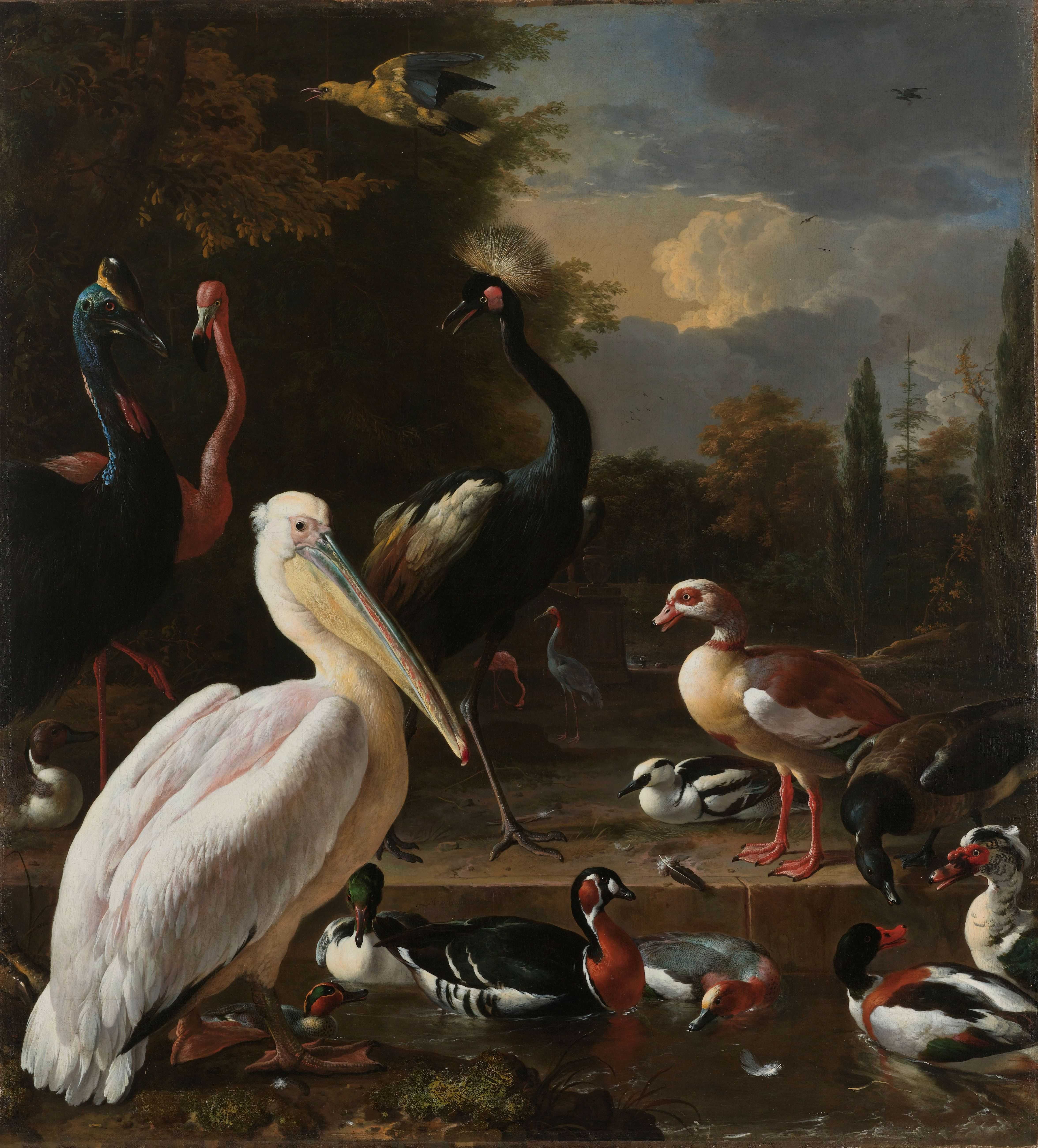 Find out more about Melchior d'Hondecoeter - A Pelican and other Birds near a Pool, Known as ‘The Floating Feather’
