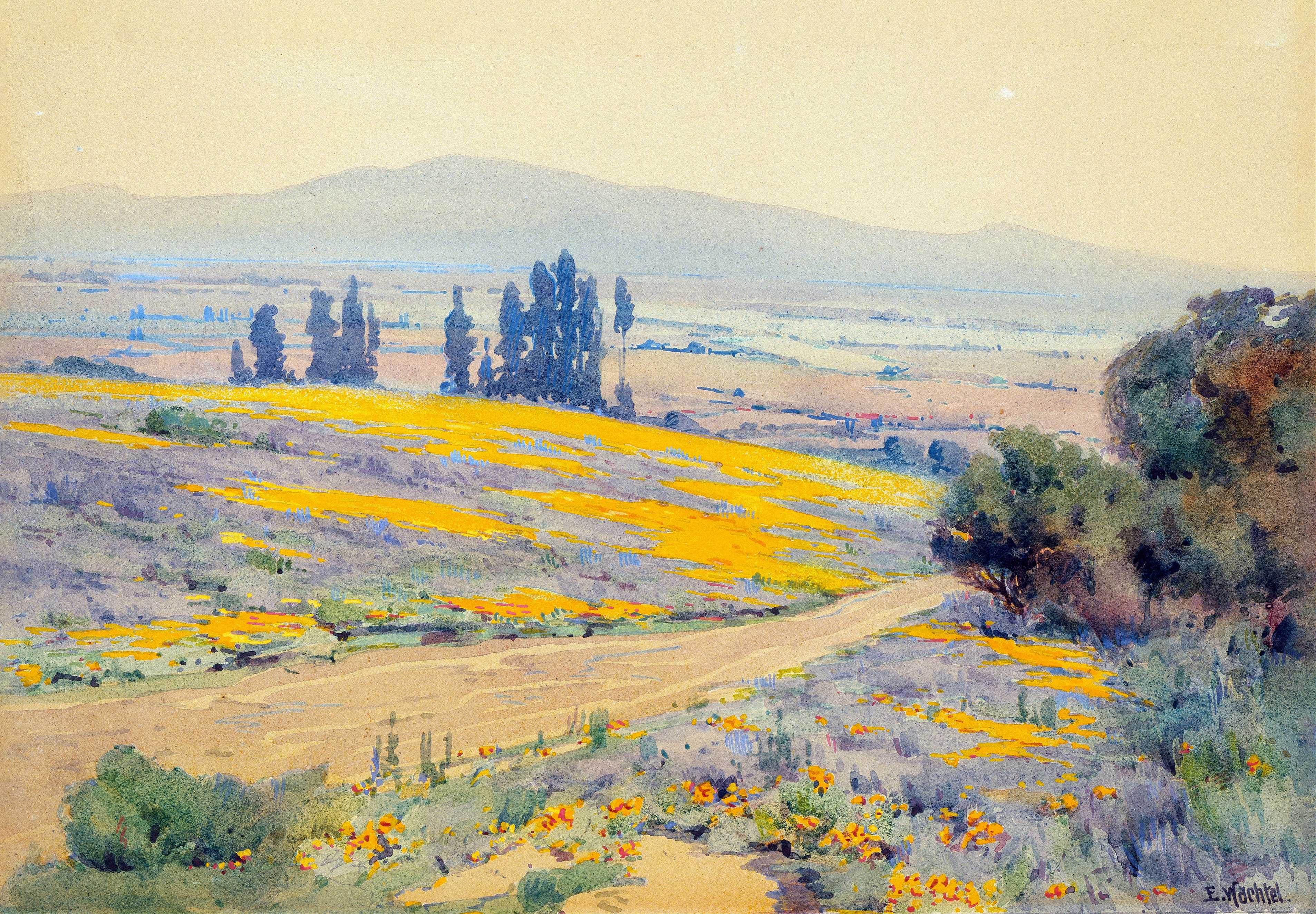 Find out more about Elmer Wachtel - California Spring Landscape